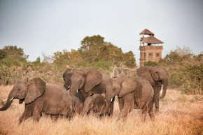 Отель Babs' Camp, A Tent with a View Safaris  Sadani
